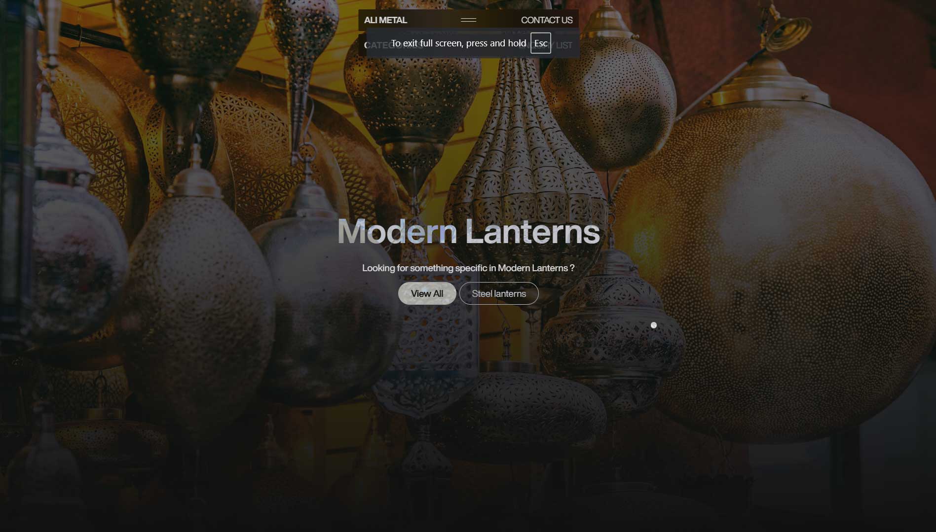 website screenshot 2